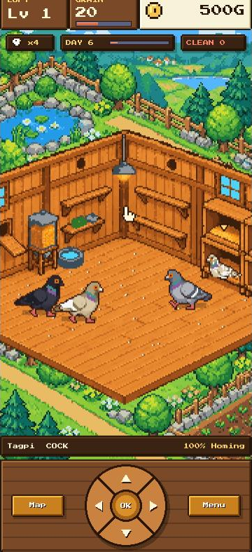 The pigeon loft with pigeons walking on a wooden floor and nest boxes on the wall
